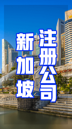 新加坡注册公司